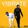 Vibrate (feat. Timaya) - Single album lyrics, reviews, download