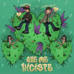 QUE ME HICISTE (feat. Nizzy boss) Song Lyrics