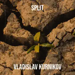Split - Single by Vladislav Kurnikov album reviews, ratings, credits