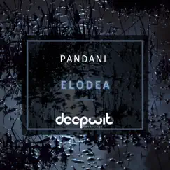 Elodea - EP by Pandani, Alvaro Hylander & Distant Relatives JHB album reviews, ratings, credits