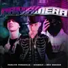 PANAMERA (Guaracha Version) (feat. Pablo Pesadilla) - Single album lyrics, reviews, download