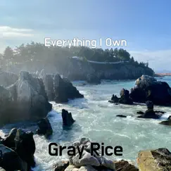 Everything I Own - Single by Gray Rice album reviews, ratings, credits