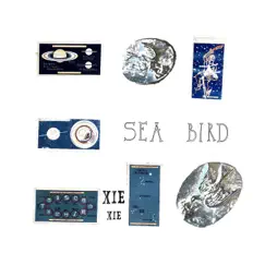 Sea Bird Song Lyrics
