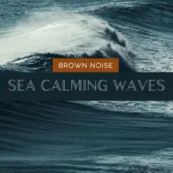 Brown Noise with Sea Calming Waves, Loopable by Ocean Atmospheres, Sea Waves Channel & Brown Noise Playlist album reviews, ratings, credits