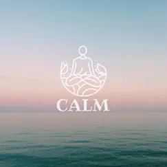 Calm - Single by StreamLand & Jey Co album reviews, ratings, credits