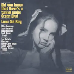 Did you know that there's a tunnel under Ocean Blvd by Lana Del Rey album reviews, ratings, credits