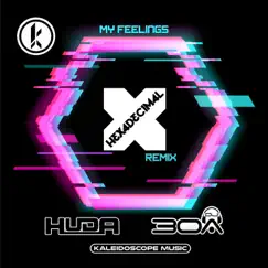 My Feelings (Hexadecimal Remix) Song Lyrics
