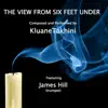 The View from Six Feet Under (feat. James 'Junior' Hill) - Single album lyrics, reviews, download