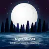 Night Sounds: Soft Piano Music for Sleeping album lyrics, reviews, download