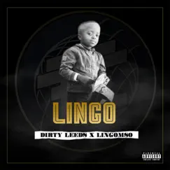 Lingo (feat. Lingomso) - Single by Dirty Leeds album reviews, ratings, credits