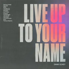 Live Up To Your Name - Single by Danny Gokey album reviews, ratings, credits