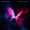 Butterflies (feat. Dia Frampton) - Single album lyrics, reviews, download