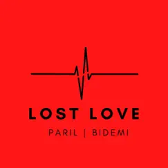 LOST LOVE (feat. Bidemi) Song Lyrics