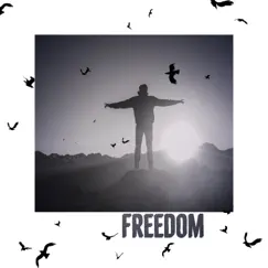 Freedom - Single by ReehVerb album reviews, ratings, credits