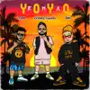 Yoyo (Remix) - Single album lyrics, reviews, download