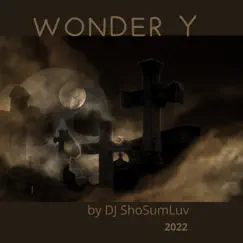 Wonder Y - Single by DJ ShoSumLuv album reviews, ratings, credits