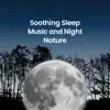 Soothing Sleep Music and Night Nature album lyrics, reviews, download