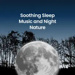 Soothing Sleep Music and Night Nature by Sleepy Sine, Moments of Clarity & Calming Eyes album reviews, ratings, credits