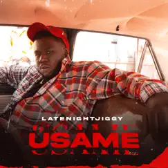Úsame by LATENIGHTJIGGY album reviews, ratings, credits