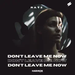 Don't Leave Me Now - Single by Rayz album reviews, ratings, credits