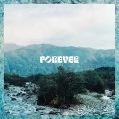 FOREVER - Single by SIRUP & Shin Sakiura album reviews, ratings, credits