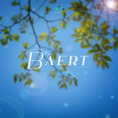 Baert - Single by NS Records album reviews, ratings, credits