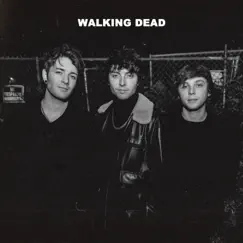 Walking Dead - Single by Emblem3 album reviews, ratings, credits