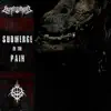Submerge in the Pain - Single album lyrics, reviews, download