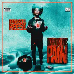 Expensive Pain - EP by Bankrollreese album reviews, ratings, credits