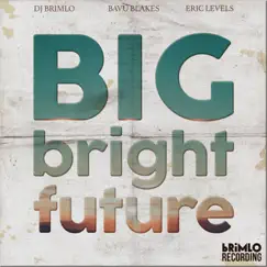 Big Bright Future (feat. Bavu Blakes & Eric Levels) - Single by DJ brimLo album reviews, ratings, credits