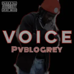 Voice - Single by Pvblogrey album reviews, ratings, credits