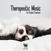 Therapeutic Music for Animal Emotions: Help Your Dog relax, Reduce the Anxiety in Your Pets, Enhance the Welfare of Your Animals album lyrics, reviews, download