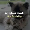 Ambient Music for Cuddles album lyrics, reviews, download