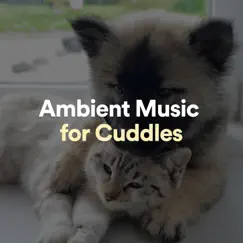 Ambient Music for Cuddles by Calm Music Zone, Ambient 11 & Ambient Music Collective album reviews, ratings, credits