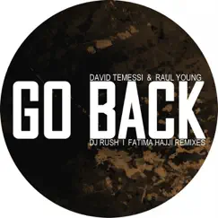 Go Back - Single by David Temessi & Raul Young album reviews, ratings, credits