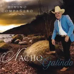 Divino Compañero by Nacho Galindo album reviews, ratings, credits