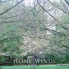 Home Winds - Single by Heather Woods Broderick album reviews, ratings, credits