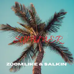 Spend the Summer - Single by Zoom.Like & Salkin album reviews, ratings, credits