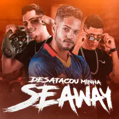 Desatacou Minha Seaway - Single by MC Ricardinho, Labra stylos & Diogo no Beat album reviews, ratings, credits