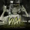 Vida (feat. Miguel Lahuerta) - Single album lyrics, reviews, download