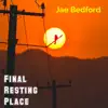 Final Resting Place - Single album lyrics, reviews, download