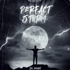 Perfect Storm - Single by Big Rooby album reviews, ratings, credits