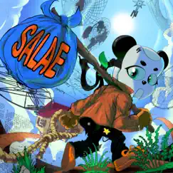 SALAE by Cloudybay album reviews, ratings, credits