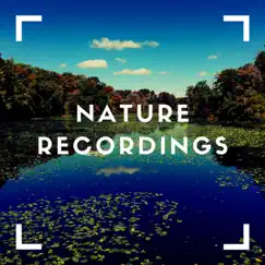 Water Puddle Ponds - EP by Natural Sample Makers, Natural Sound Makers & Nature Recordings album reviews, ratings, credits