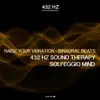 Raise Your Vibration (Binaural Beats) album lyrics, reviews, download