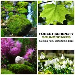 Forest Serenity Soundscapes: Calming Rain, Waterfall & Birds – Music & Beautiful Sounds of Woodland Stream for Restful Sleep, Massage Therapy, Soothing Spa Ambient, Nourishment & Peacefulness by Serenity Music Academy album reviews, ratings, credits