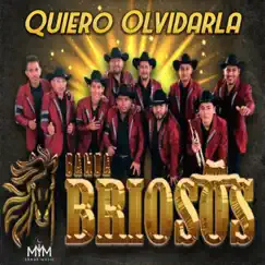 Quiero Olvidarla Song Lyrics