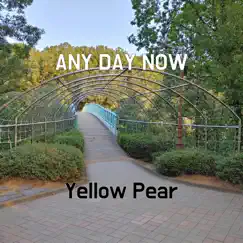 Any Day Now - Single by Yellow Pear album reviews, ratings, credits
