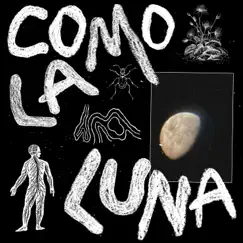 Como La Luna Song Lyrics