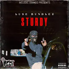 Sturdy - Single by Luse Bundlez album reviews, ratings, credits